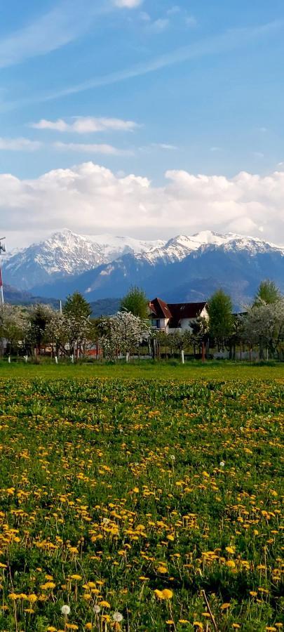 Das Home Rîşnov Exteriör bild